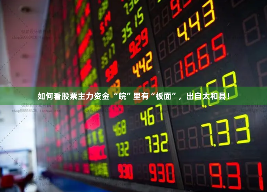 如何看股票主力资金 “皖”里有“板面”，出自太和县！