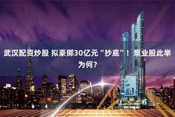 武汉配资炒股 拟豪掷30亿元“抄底”！泵业股此举为何？