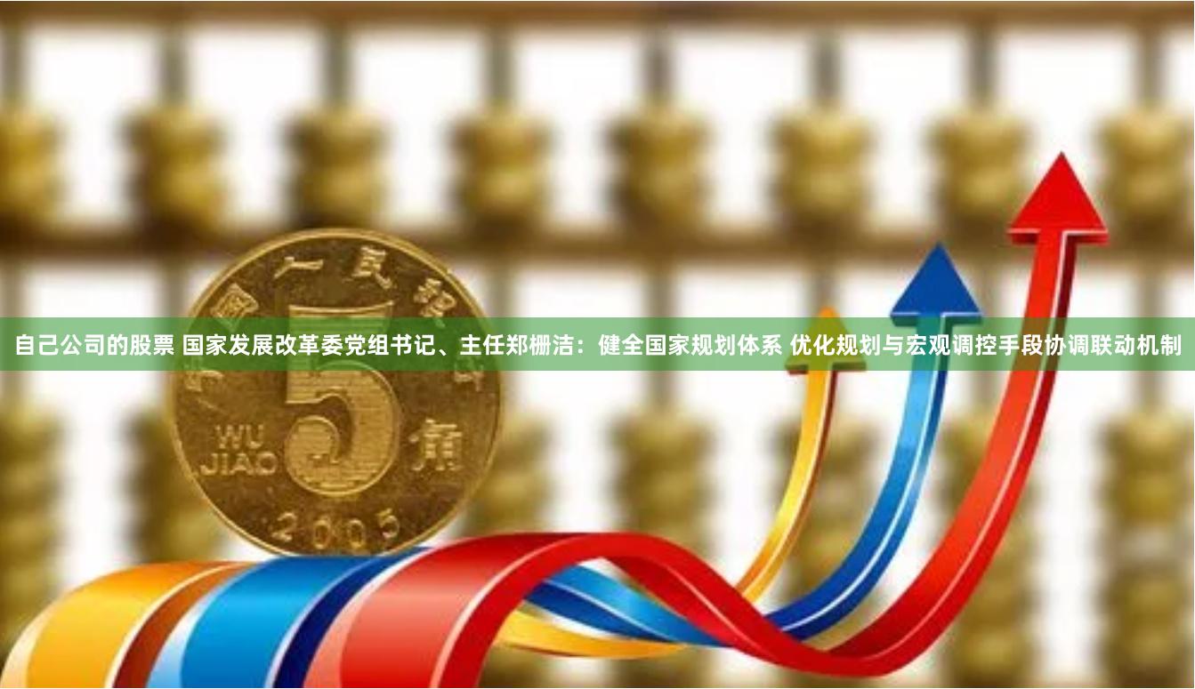 自己公司的股票 国家发展改革委党组书记、主任郑栅洁：健全国家规划体系 优化规划与宏观调控手段协调联动机制