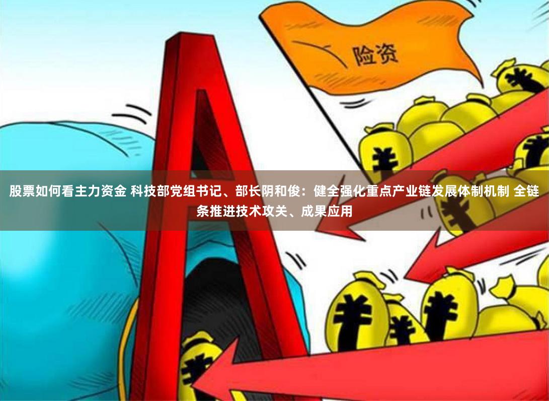 股票如何看主力资金 科技部党组书记、部长阴和俊：健全强化重点产业链发展体制机制 全链条推进技术攻关、成果应用